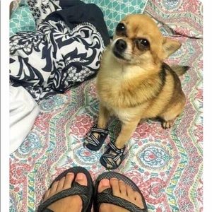 Meet your Posher, Alberto